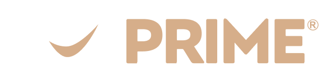 PayPrime Logo